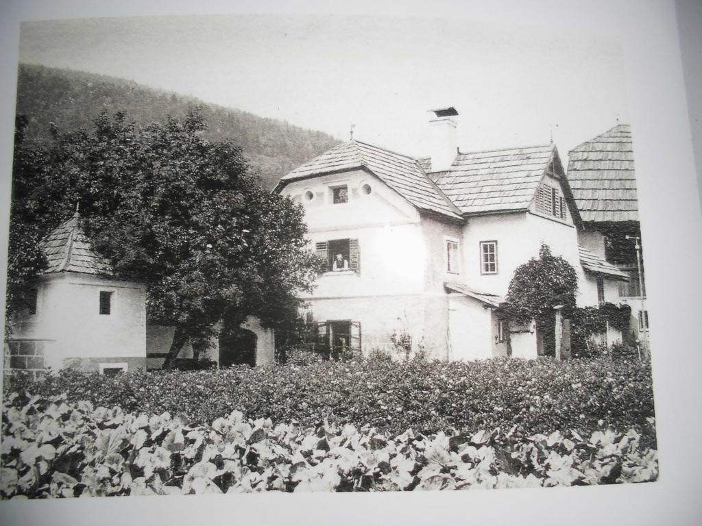 Pension & Ferienwohnung Dullnig Gmünd Exterior foto